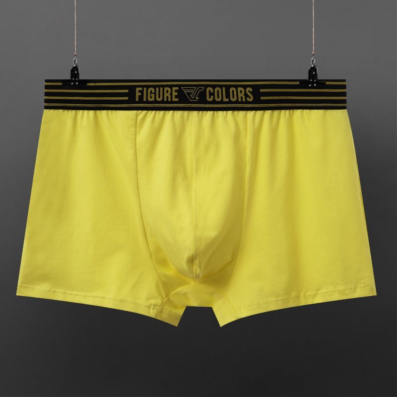 Rick – Boxershorts respirantes pour hommes en coton à taille basse
