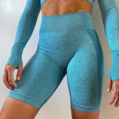 Ann – Ensemble de Yoga Femme sans Coutures avec Haut à Manches Longues et Shorts