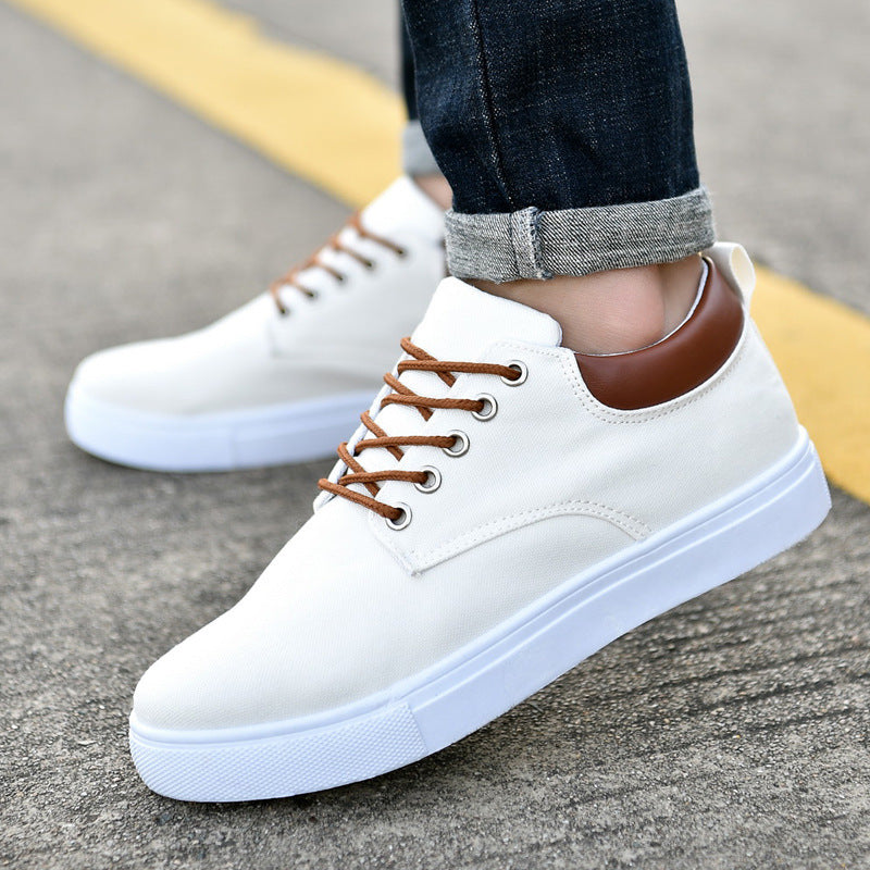 Jerry – Baskets en toile pour hommes grande taille