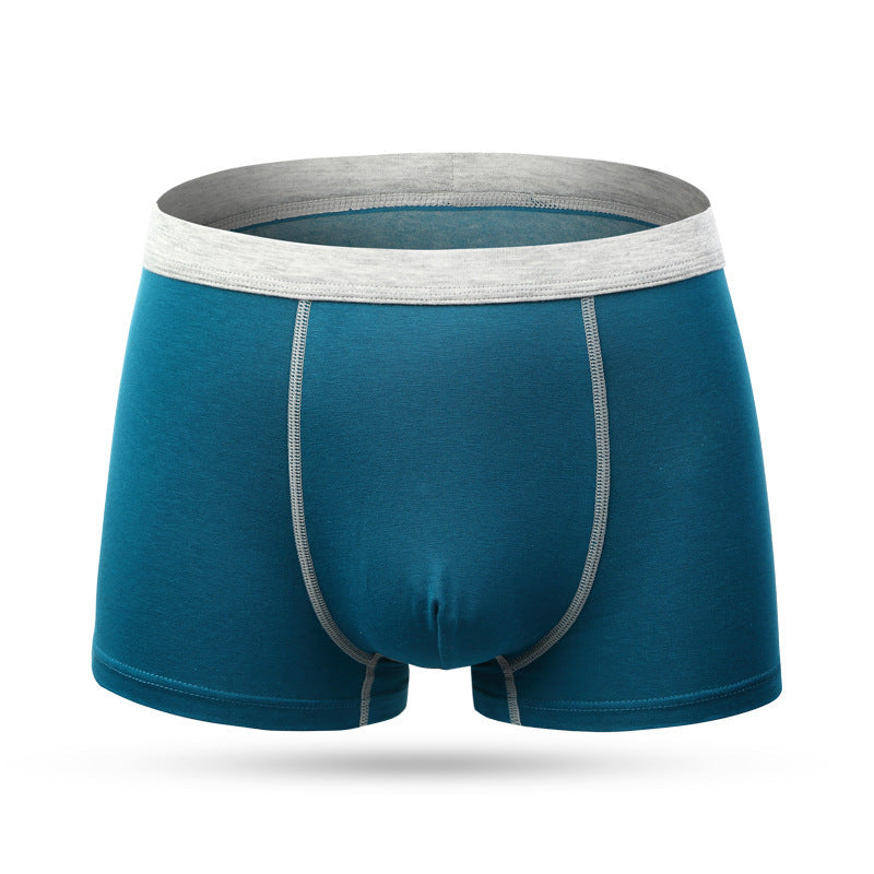 Joe – Boxershorts pour Hommes en Coton
