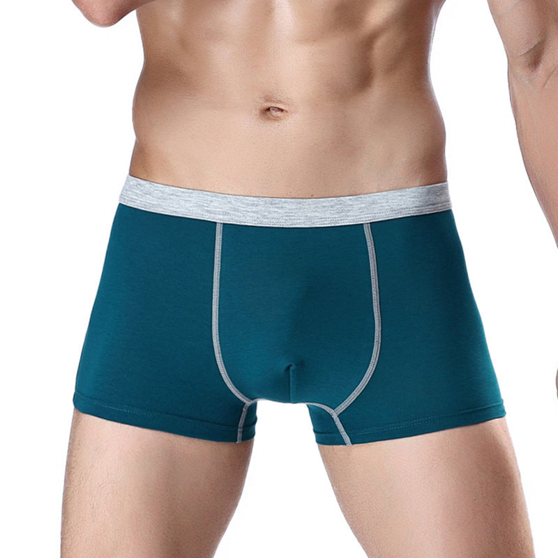 Joe – Boxershorts pour Hommes en Coton