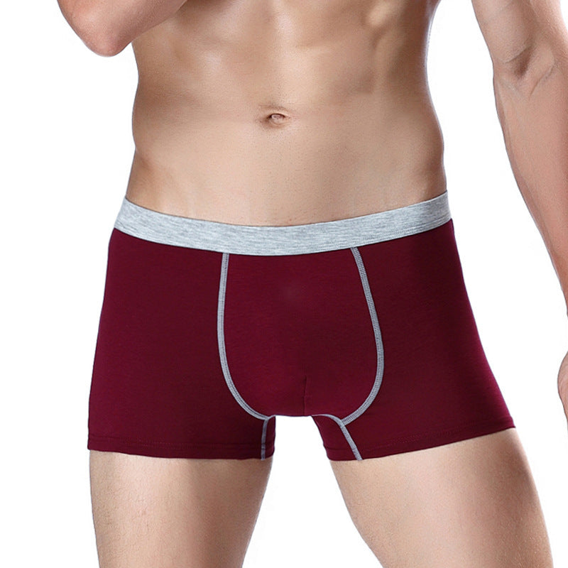 Joe – Boxershorts pour Hommes en Coton