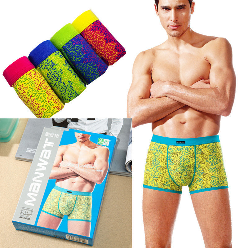 Dale – Boxershorts en Coton pour Homme