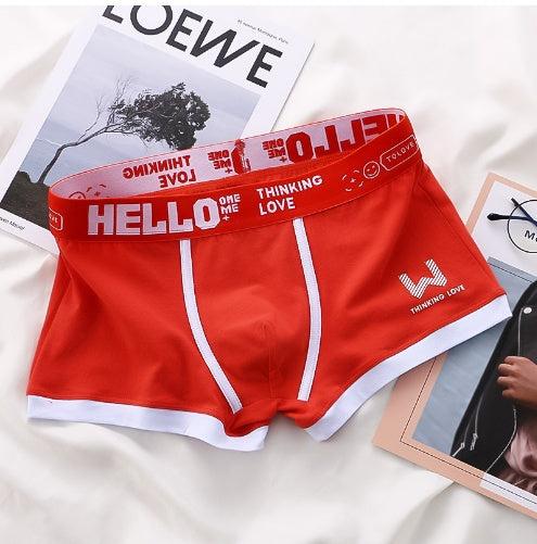 Roy – Boxers pour Hommes Respirants avec Couleur Contrastée